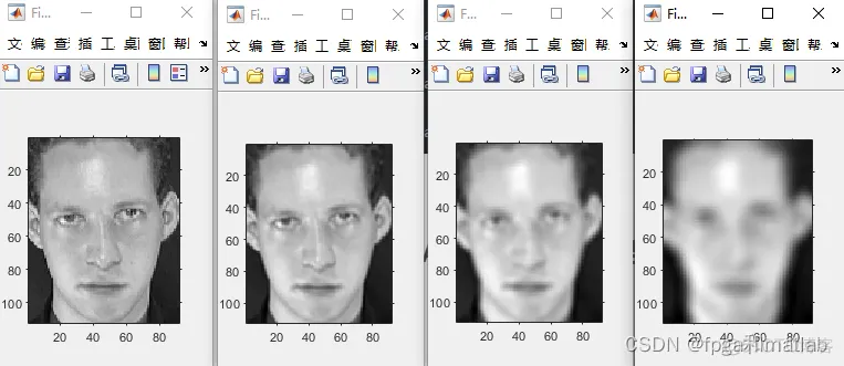 基于NSCT变换的人脸图像特征提取matlab仿真_NSCT_03